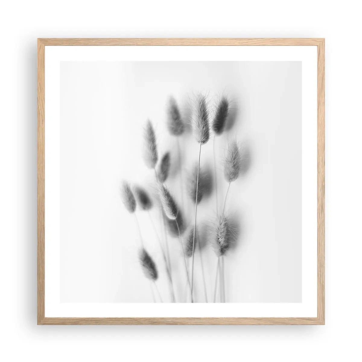 Poszter világos tölgy keretben - A bolyhos fű - 60x60 cm