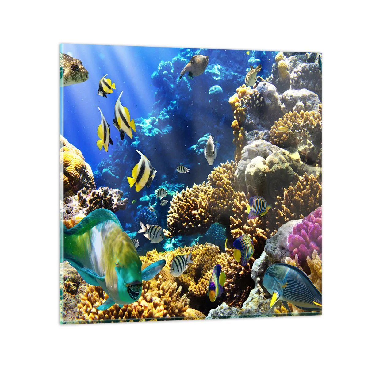 Üveg kép - Nagy forgalom a nyaraló ösvényen - 40x40 cm