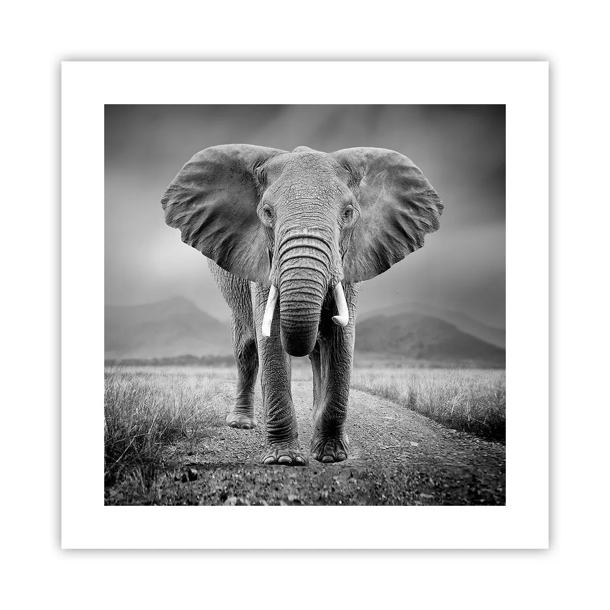 Poszter - A házigazda üdvözli - 40x40 cm