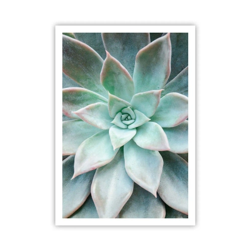 Poszter - A sivatag szíve - 70x100 cm