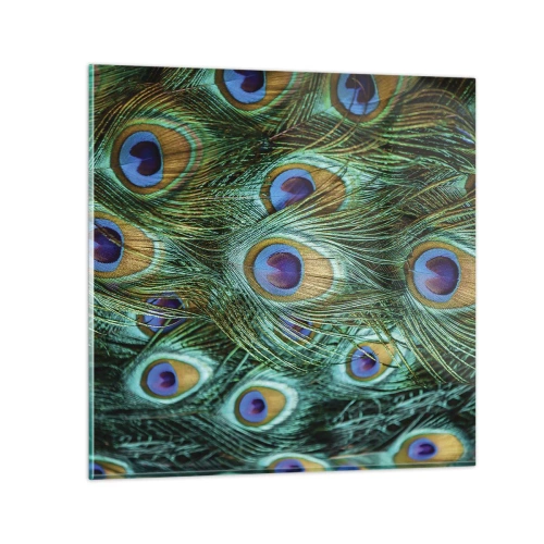 Üveg kép - Pávaszemű pillantás - 30x30 cm