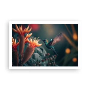 Poszter - Egy igazán színes élet - 91x61 cm