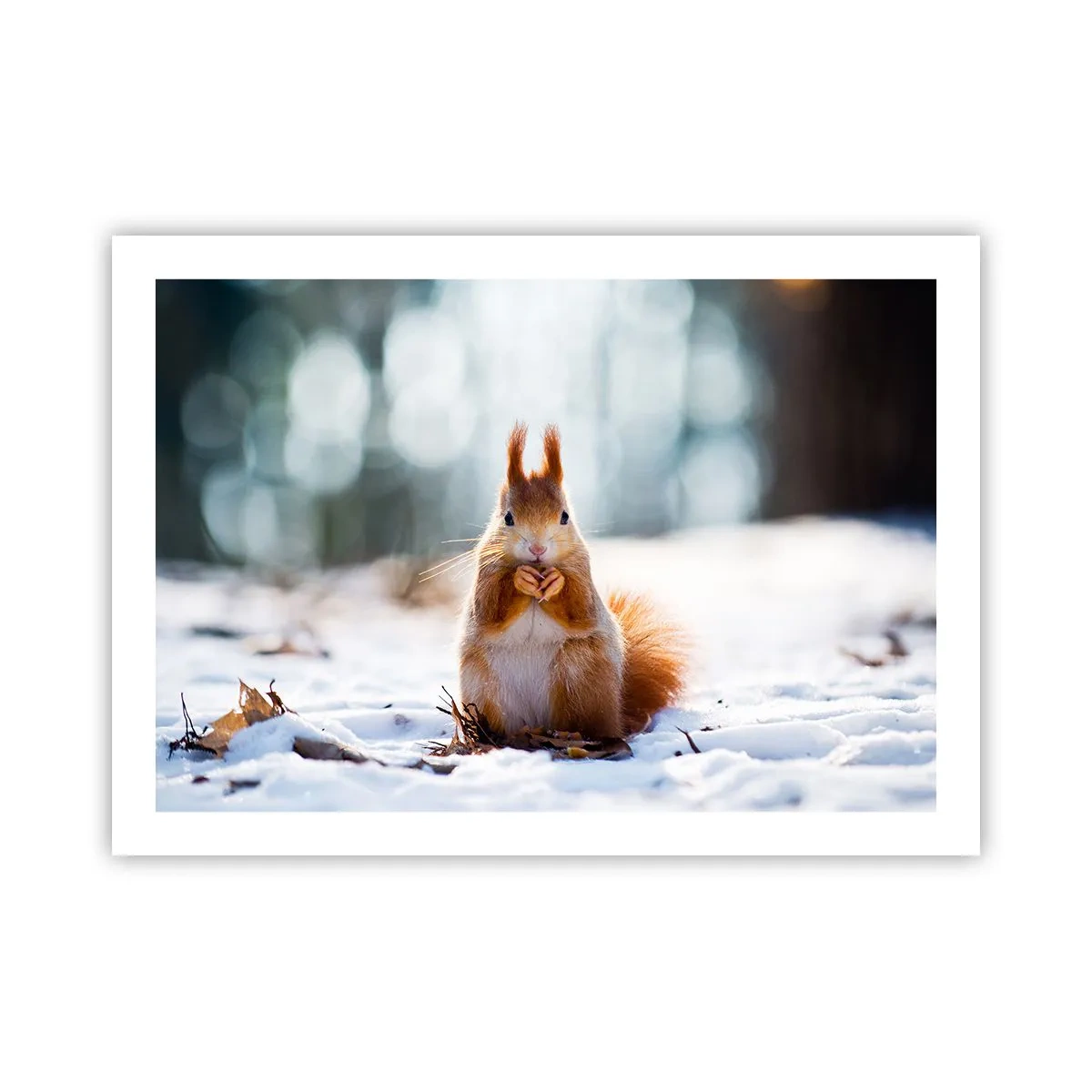 Poszter - Mit nézel? - 70x50 cm