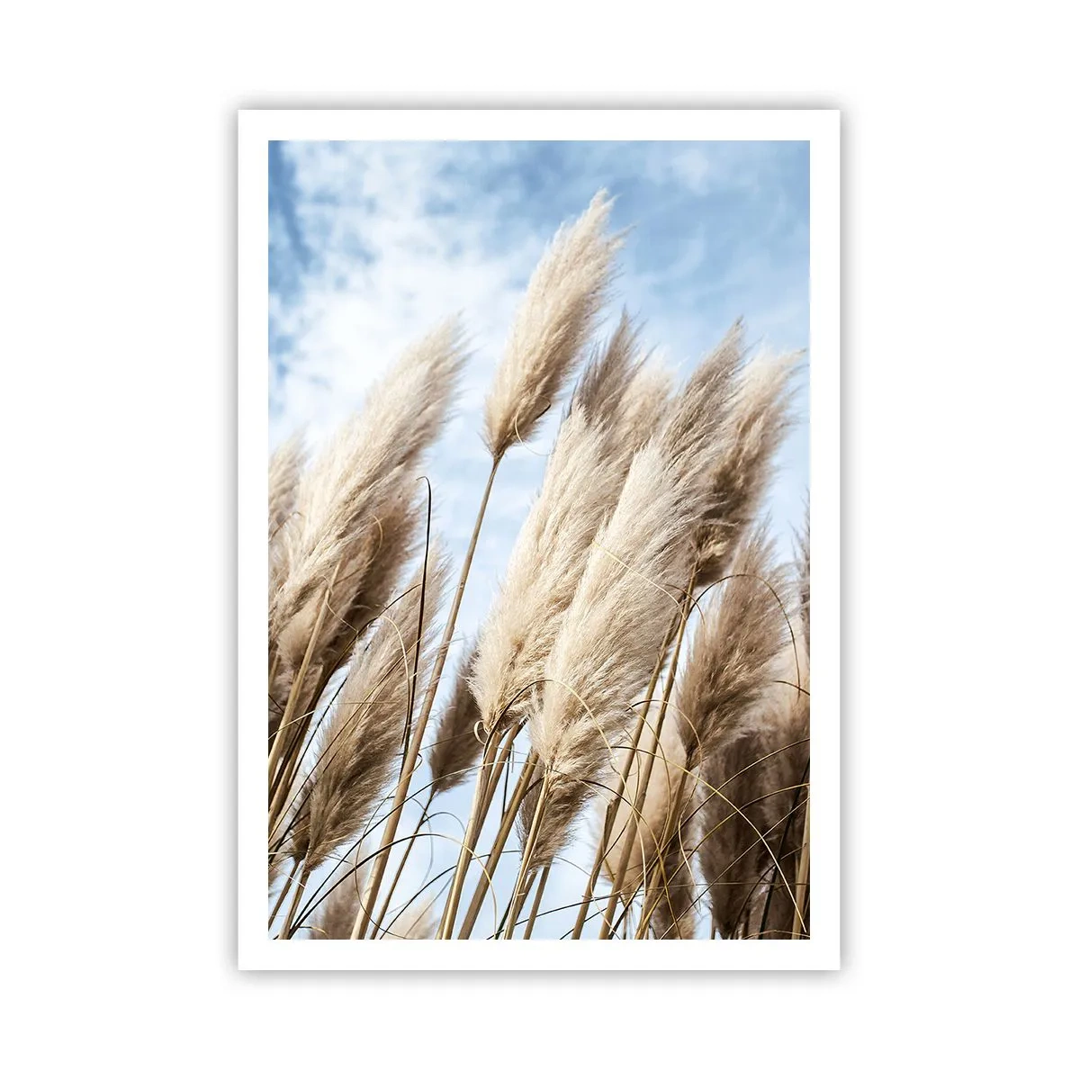 Poszter - Napos és szeles simogatás - 70x100 cm