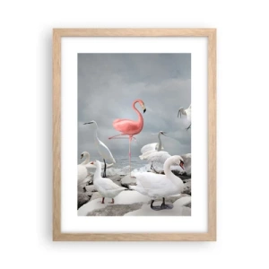 Poszter világos tölgy keretben - Hogy kerültem ide? - 30x40 cm