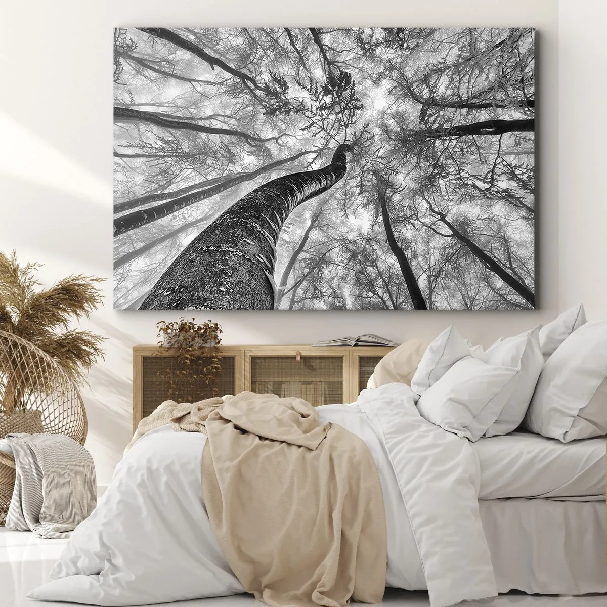 Vászonkép - Az erdő fáinak perspektívája alulról, szürke árnyalatokban - 70x50cm - Verseny a fény felé - Modern fali dekoráció nappalihoz és hálószobához ARTTOR