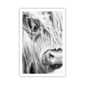 Poszter - Skót vadság - 61x91 cm