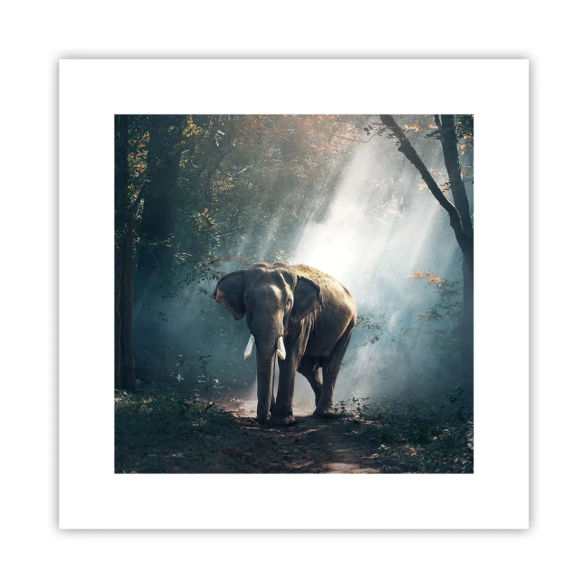 Poszter - Nyugodt séta - 30x30 cm