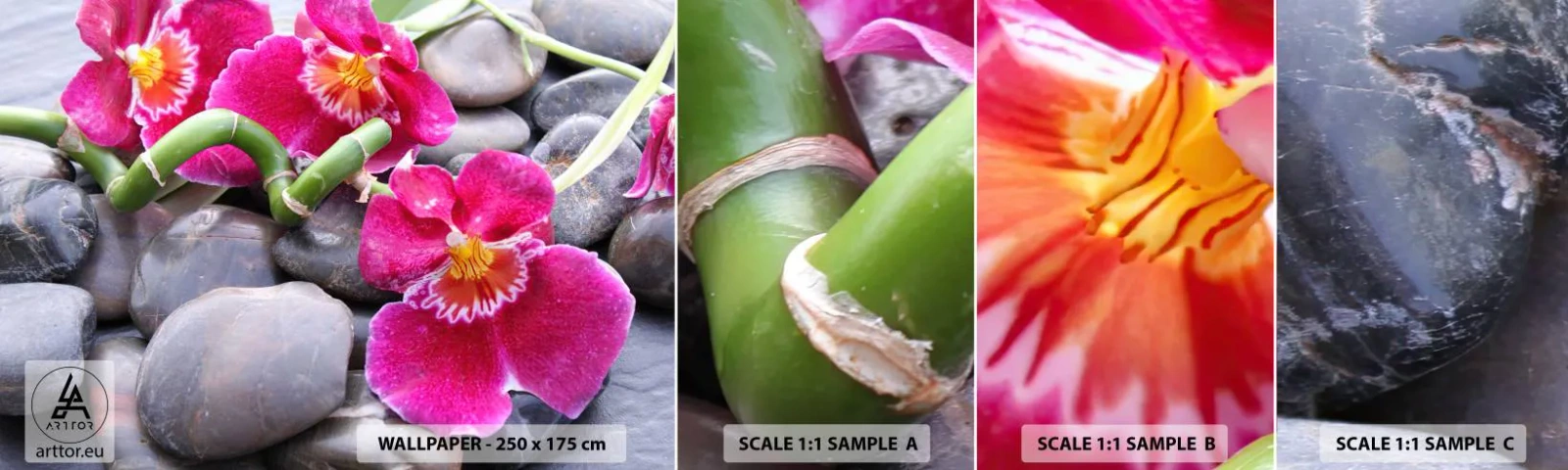 Fotótapéta Minta Standard Eco - Hideg és forró - Virágok, Kövek, Orchidea - 100x30 cm