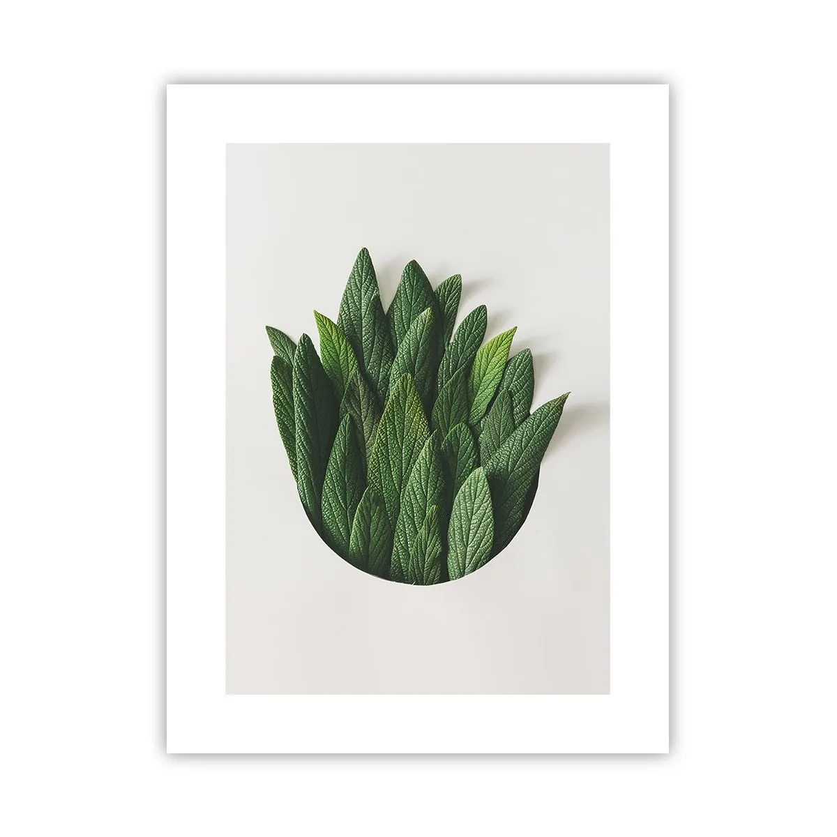 Poszter - Féktelen kíváncsiság - 30x40 cm