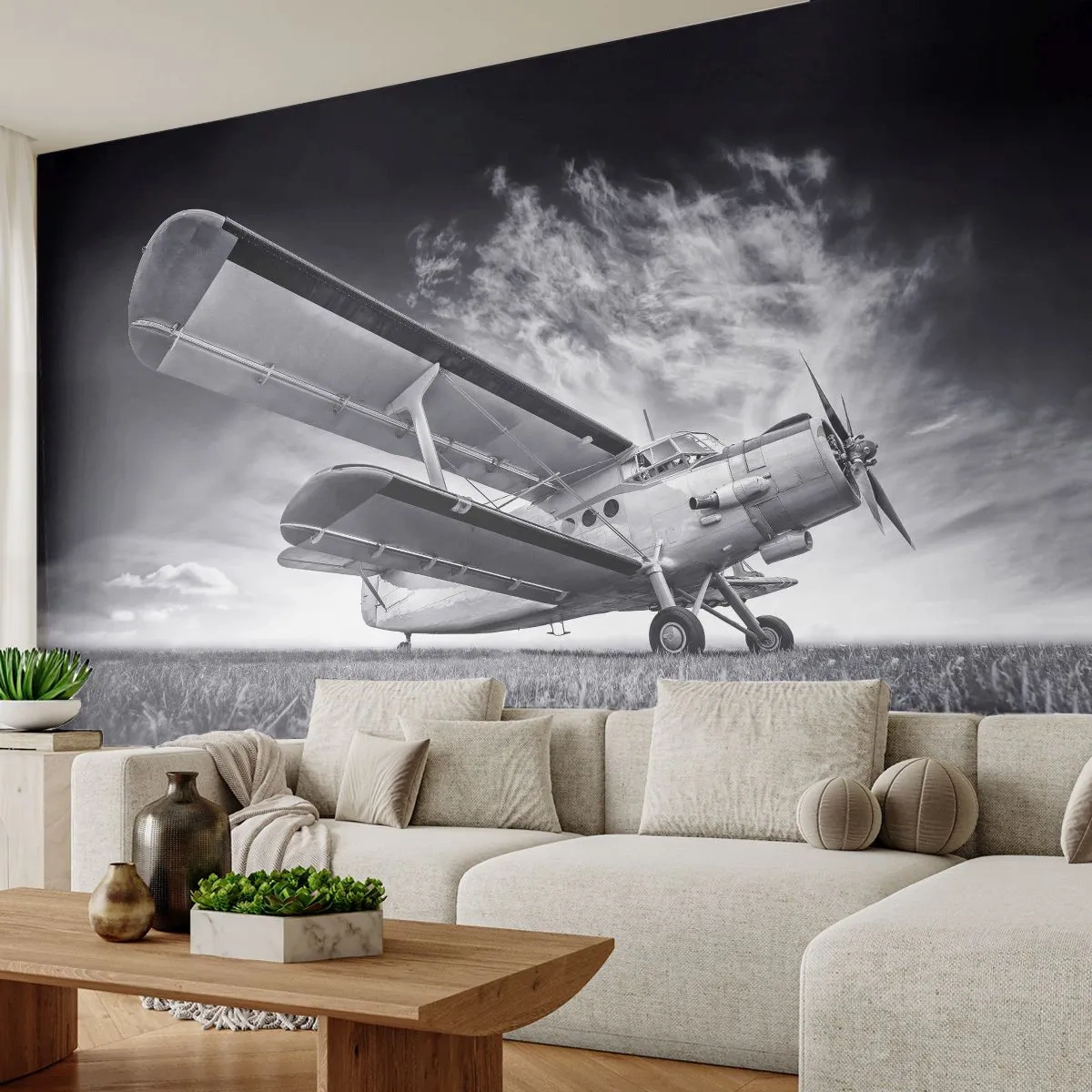 Fotótapéta Premium Canvas - A szárnyas vándor - Repülőgép, Repülőgép, Fekete és fehér - 250x175 cm