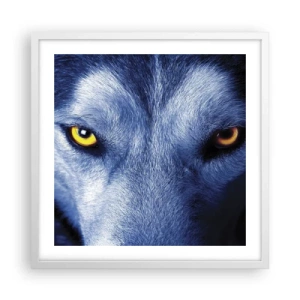 Poszter fekete keretben - Hipnotizáló nézés - 50x50 cm