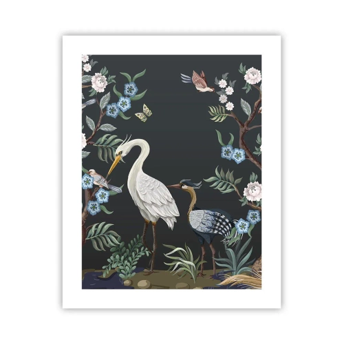 Poszter - Madar parádé - 40x50 cm