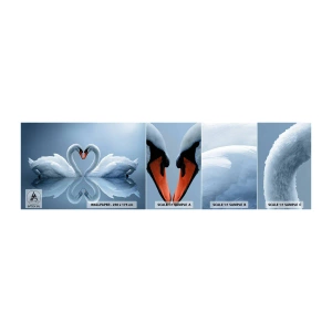 Fotótapéta Minta Öntapadós Deluxe Sticker - Itt az ideje a szerelemnek - Hattyúk, Szerelem, Szív - 100x30 cm