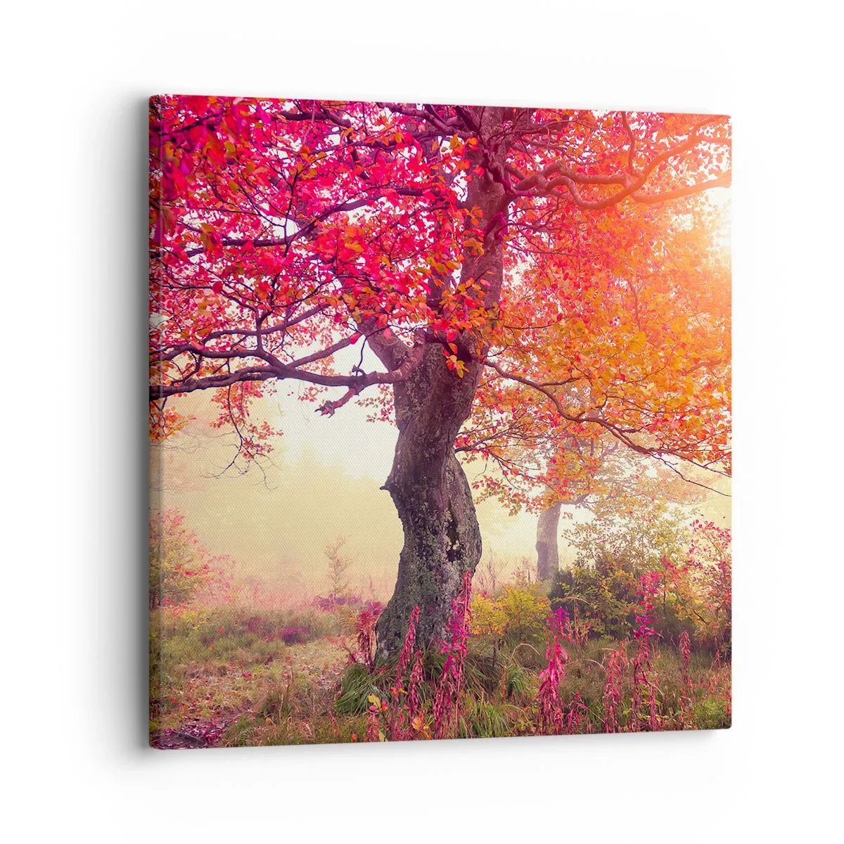 Vászonkép - Virágzás őrülete - 30x30 cm