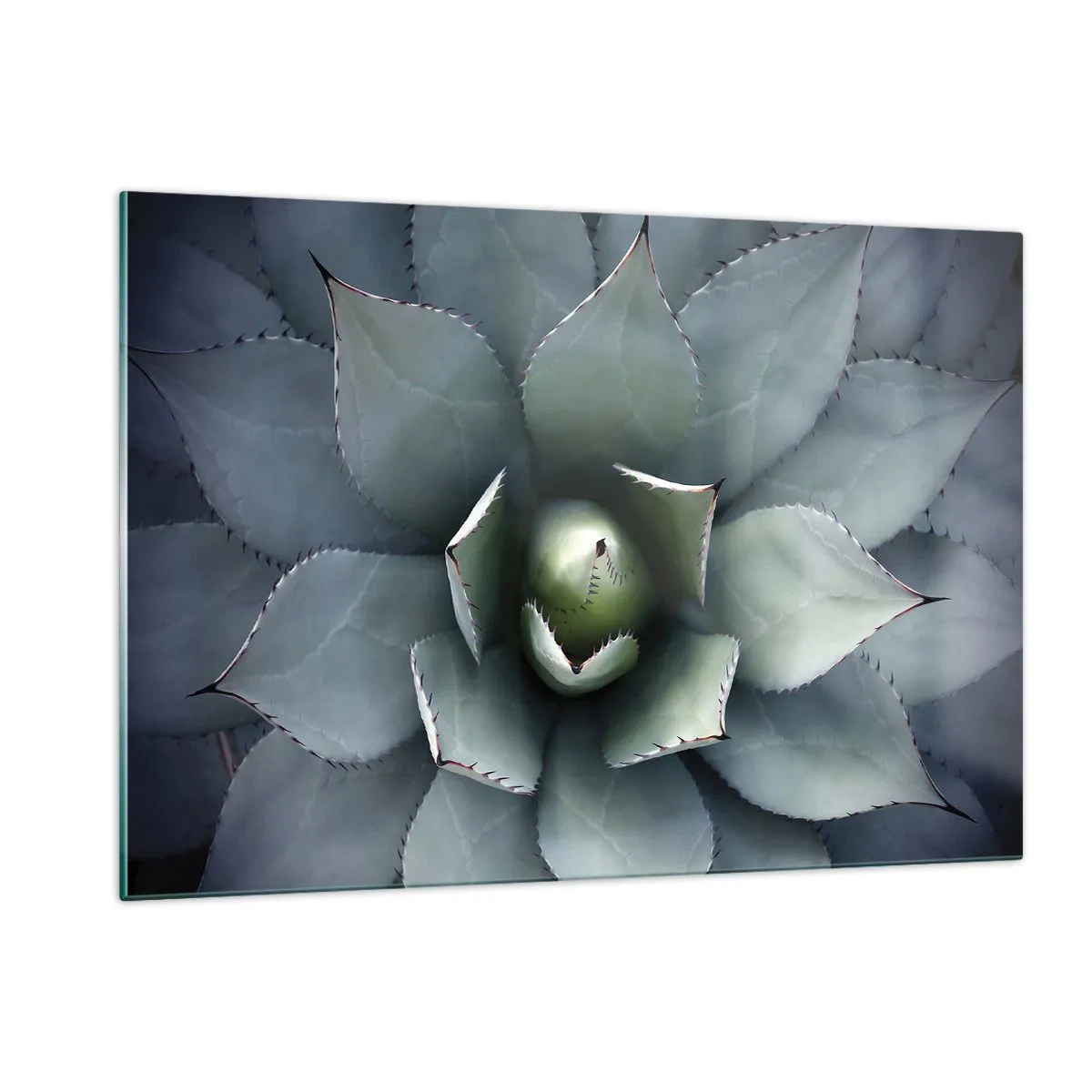 Üveg kép - Wabi és figyelmeztetés - 120x80 cm