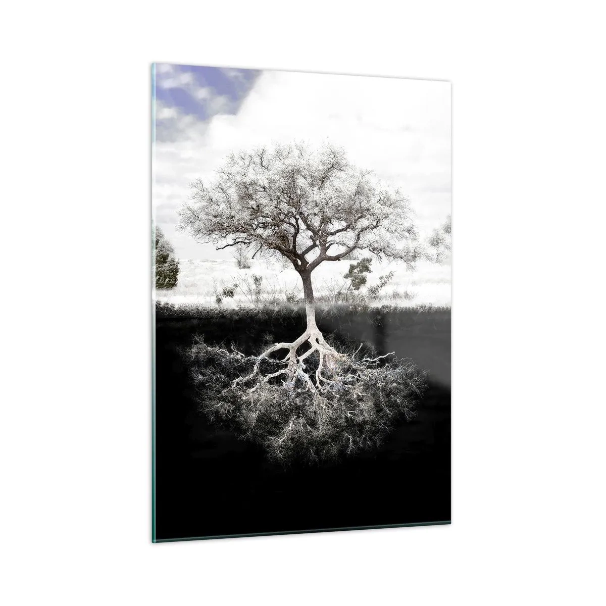 Üveg kép - A világ természetének felfedezése - 50x70 cm