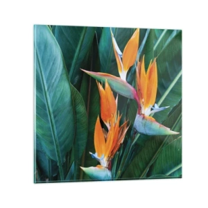 Üveg kép - Virág vagy madár? - 50x50 cm