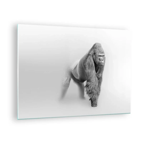 Üveg kép - Fekete-fehér portré egy fenséges gorilla fehér háttér előtt - 70x50cm - Magabiztos az erejében - Modern fali dekoráció nappalihoz és hálószobához ARTTOR