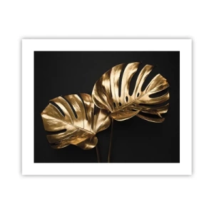 Poszter - A természet kincsei - 50x40 cm