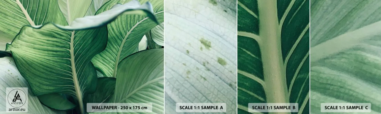 Fotótapéta Minta Öntapadós Deluxe Sticker - Intenzíven zöld élet - Levelek, Egzotikus, Növénytani - 100x30 cm