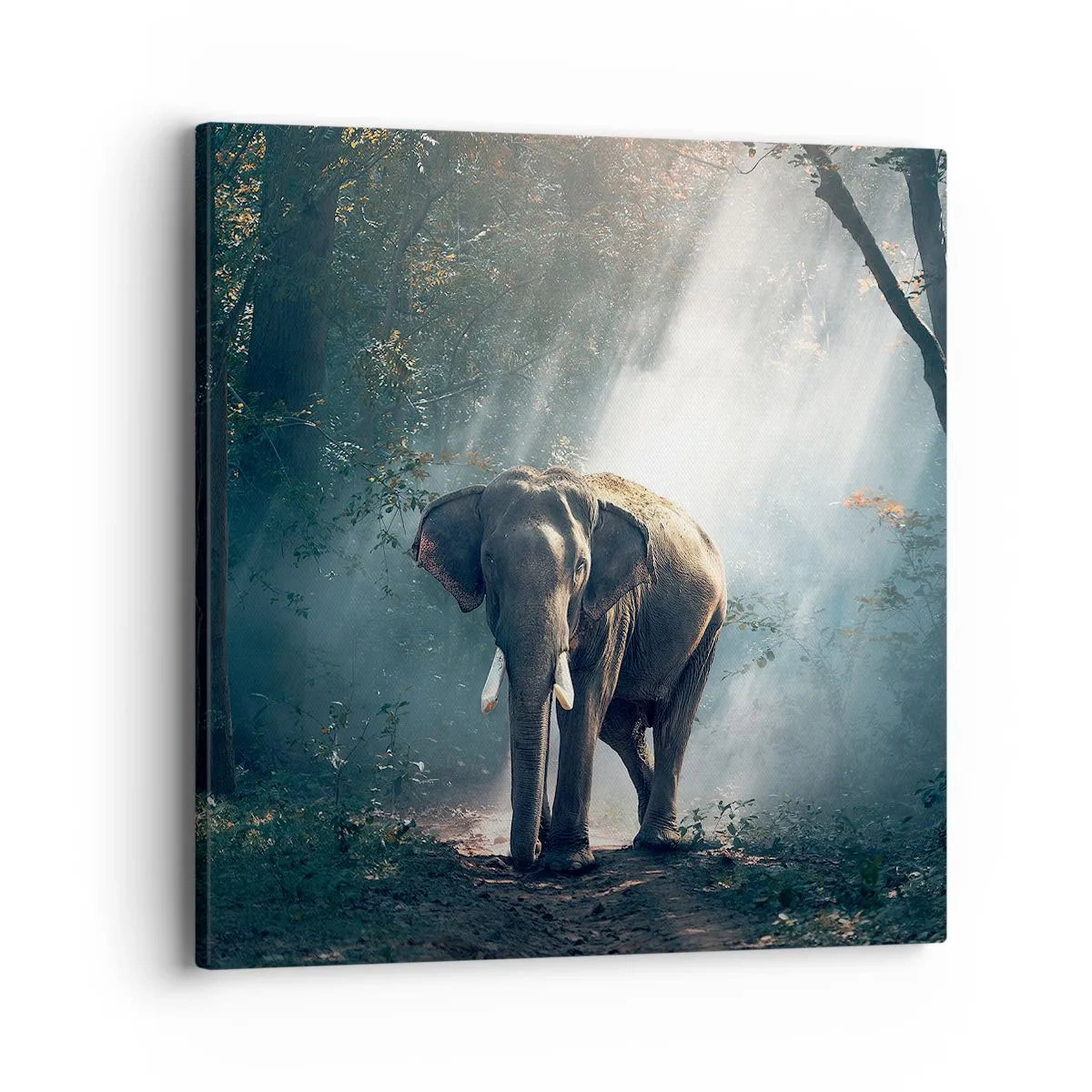 Vászonkép - Nyugodt séta - 40x40 cm