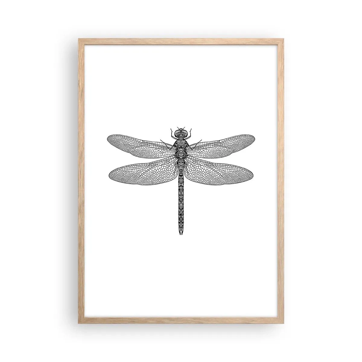 Poszter világos tölgy keretben - A természet precizitása - 50x70 cm