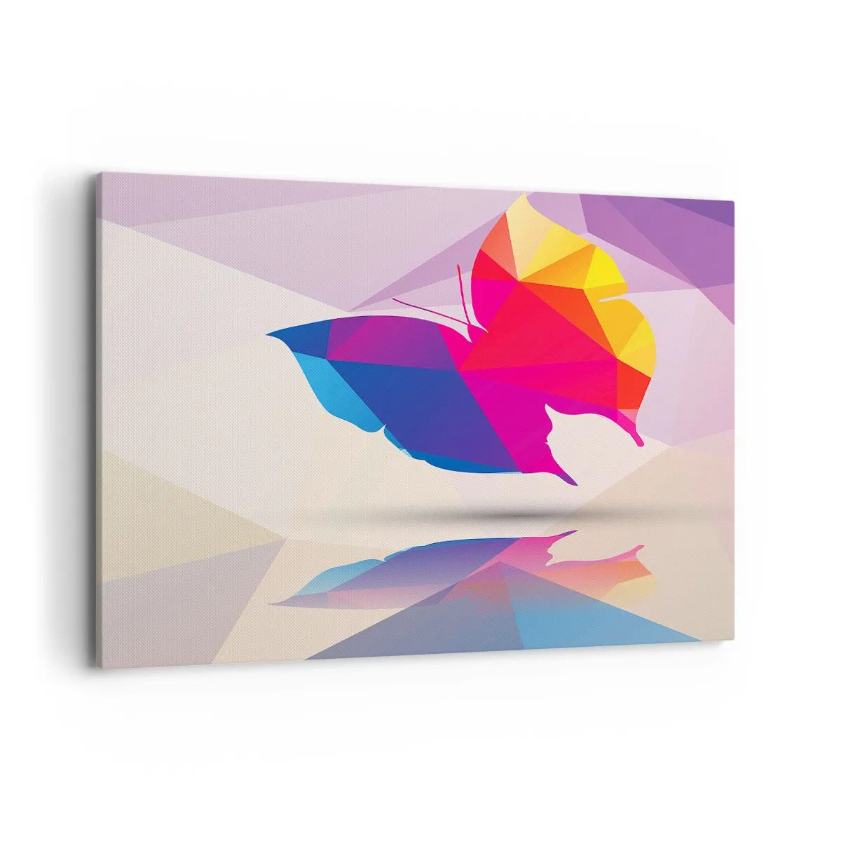 Vászonkép - Szivárvány pillangó - 100x70 cm