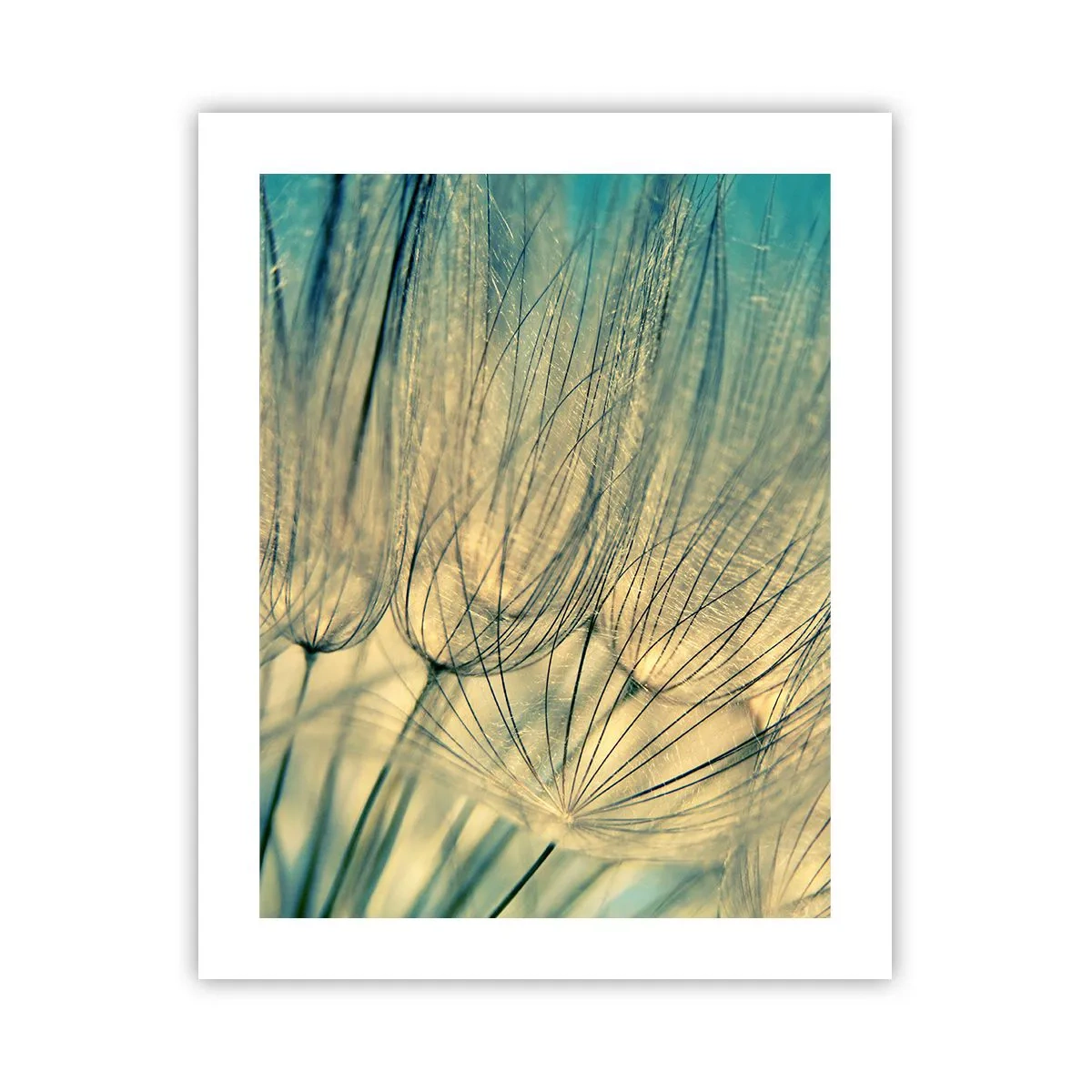 Poszter - A szélre várva - 40x50 cm