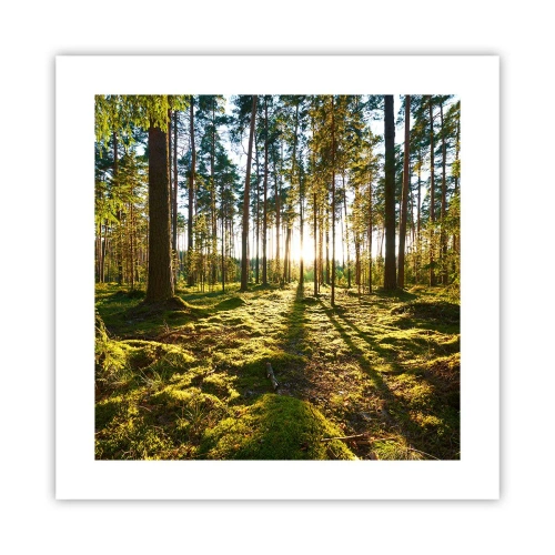 Poszter - … A hét erdőn túl - 40x40 cm