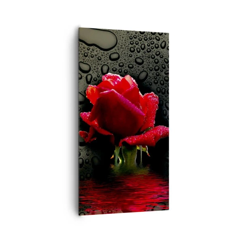 Vászonkép - piros és fekete - 65x120 cm