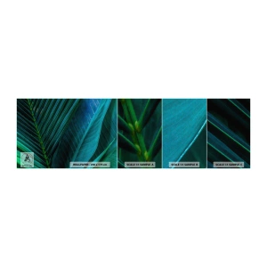 Fotótapéta Minta Öntapadós Deluxe Sticker - A zöld anatómiája - Zöld levelek, Trópusi növény, Természet - 100x30 cm