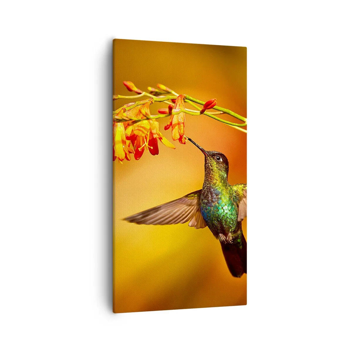 Vászonkép - A fény hírnöke a maják szerint - 55x100 cm