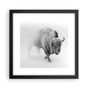 Poszter fehér keretben - A préri királya - 30x30 cm