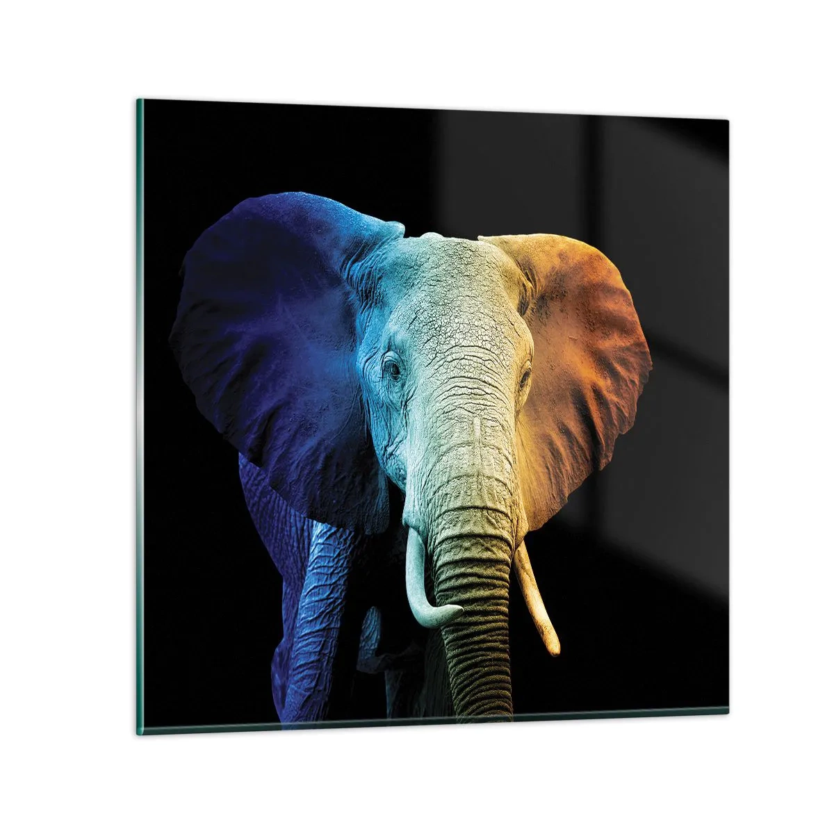 Üveg kép - Excentrikus, nem különc - 40x40 cm