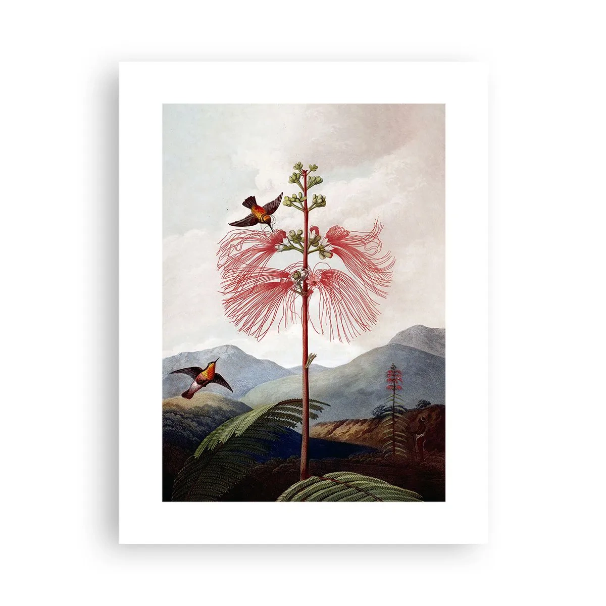 Poszter - Egy trópusi paradicsomban - 30x40 cm