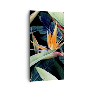 Vászonkép - A trópusok lángoló virágai - 65x120 cm
