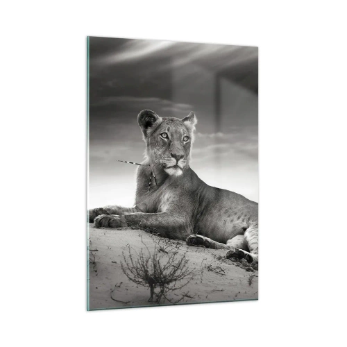 Üveg kép - A sivatagi királynő pihenése - 50x70 cm