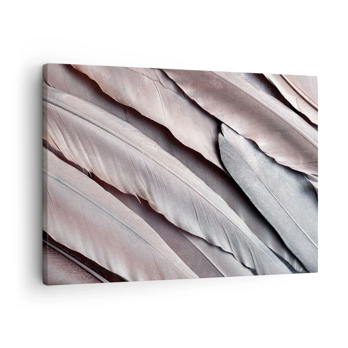 Vászonkép - Finom tollak a szürke és bézs visszafogott árnyalataiban - 70x50cm - Rózsaszín ezüstben - Modern fali dekoráció nappalihoz és hálószobához ARTTOR