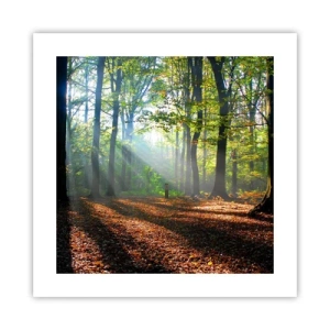 Poszter - Ragyogások és árnyékok - 40x40 cm