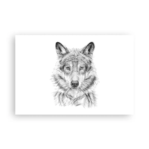 Poszter - Született vezető - 91x61 cm