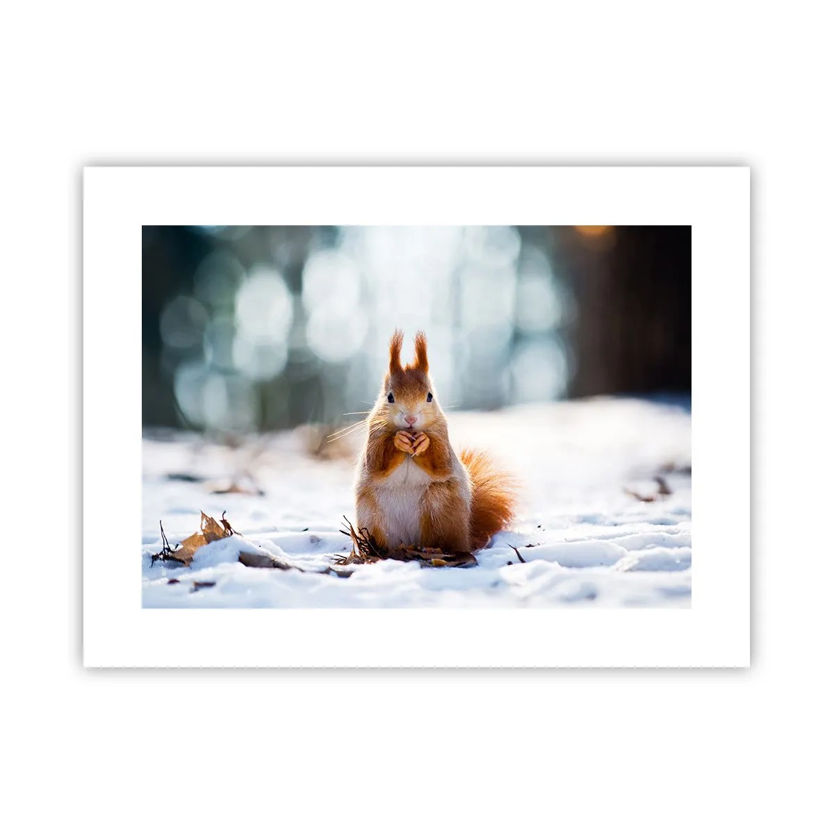 Poszter - Mit nézel? - 40x30 cm