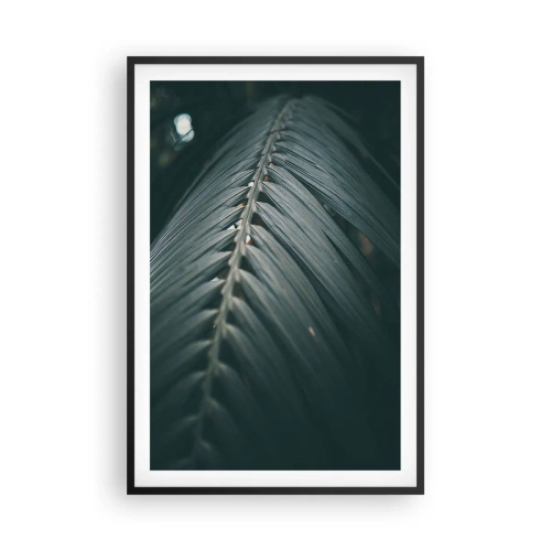 Poszter fehér keretben - A természet pontossága - 61x91 cm