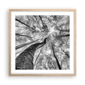 Poszter világos tölgy keretben - Verseny a fény felé - 50x50 cm