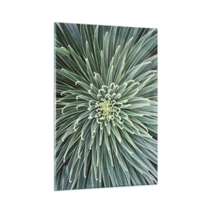 Üveg kép - Csillag születik - 80x120 cm