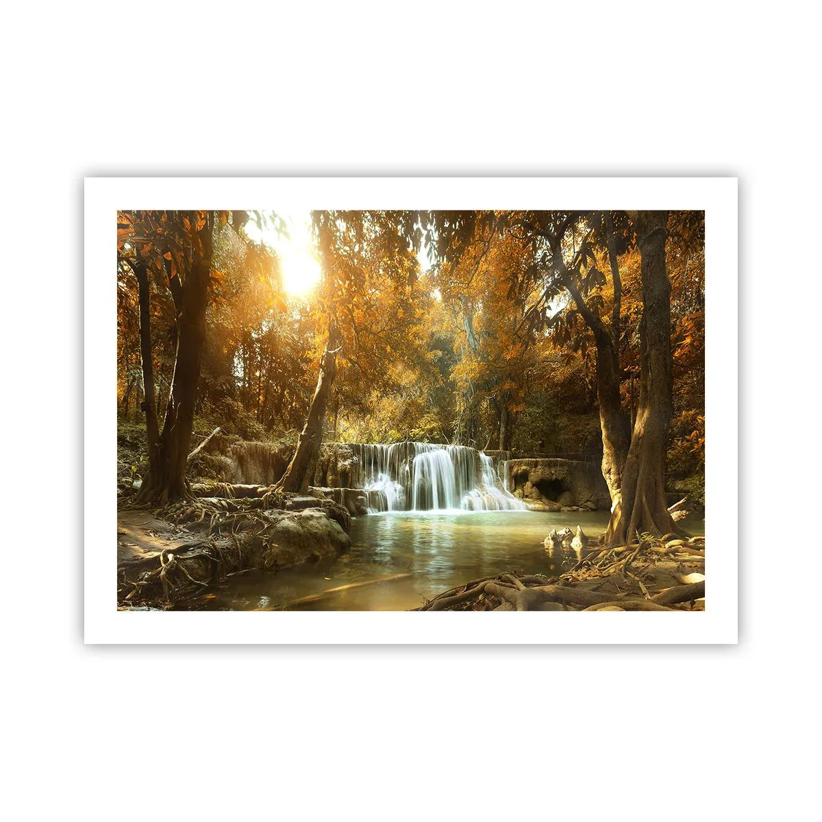 Poszter - Park kaszkád - 70x50 cm