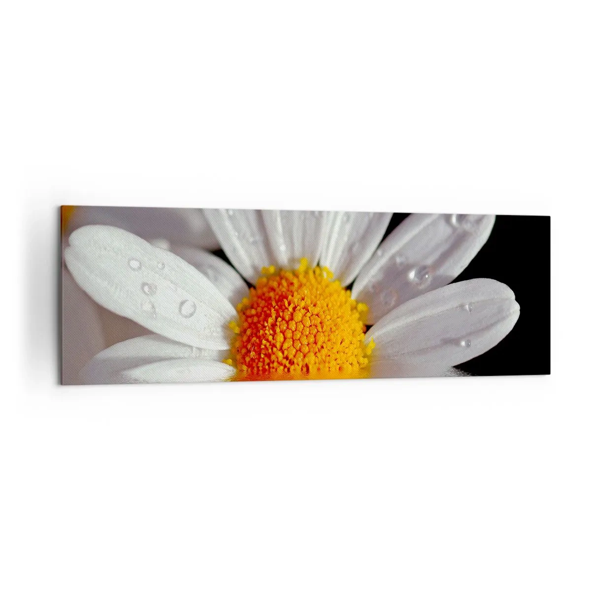 Vászonkép - A százszorszép felkelő napja - 160x50 cm