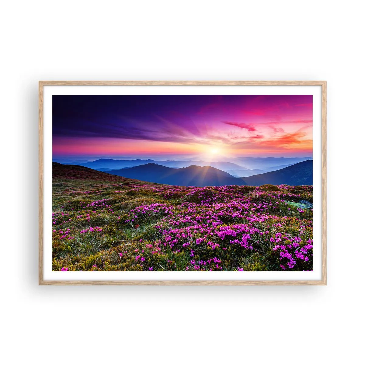 Poszter világos tölgy keretben - A gyógynövények friss fürtjei illatoztak a mezőkről - 100x70 cm