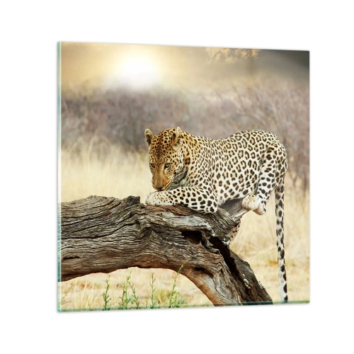 Üveg kép - A magam útjait járom - 50x50 cm