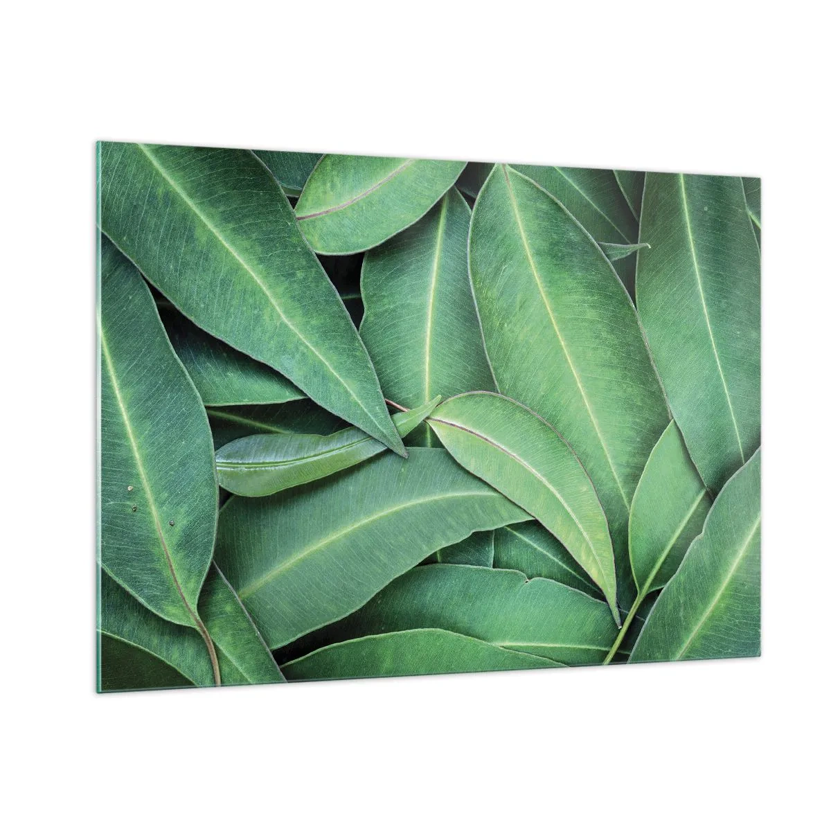 Üveg kép - Lédús és friss - 100x70 cm